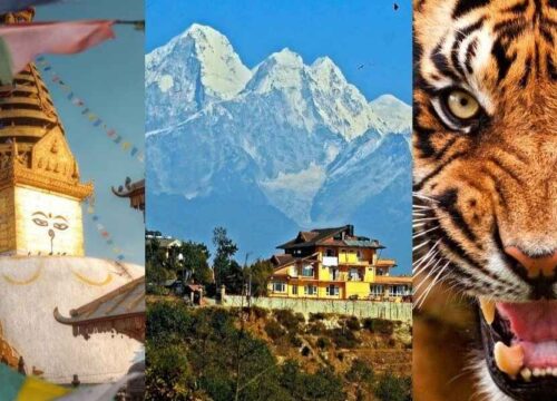Temple , Mountains and Tiger Tour