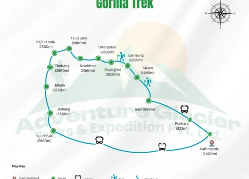 Gorilla Trek