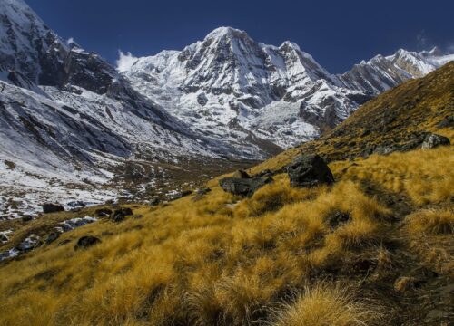 Ultimate Guide to Annapurna Region Treks: Best Routes, Tips, and Must-See Highlights