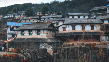 Cultural Homestays: Living with Sherpa Families on Trek Routes