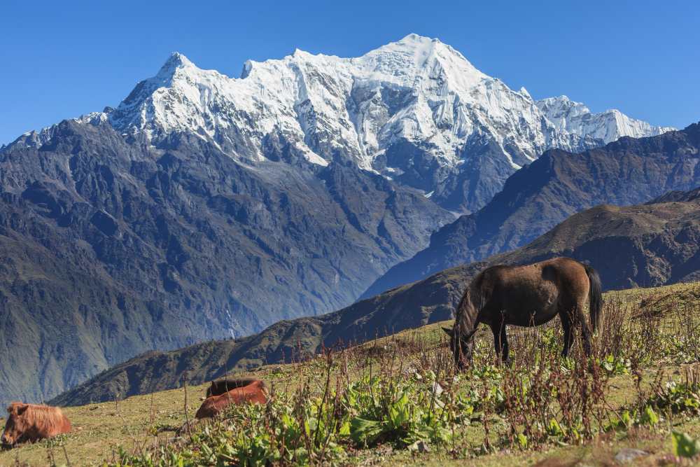 langtang trek