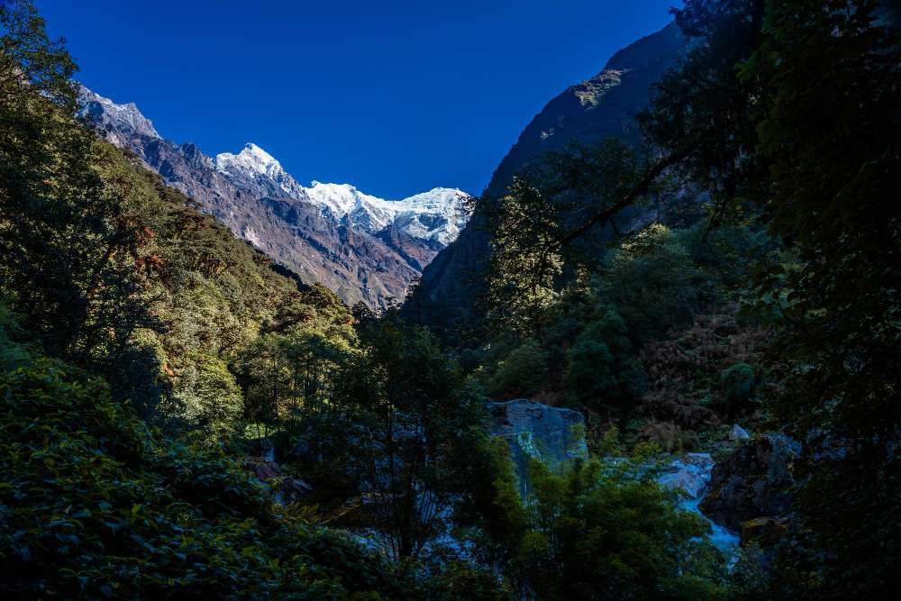 langtang valley trek